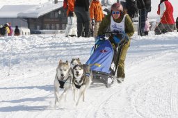 Lenk 2012 SM